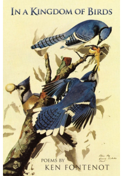 In a Kingdom of Birds