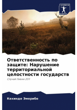 Ответственность по защите