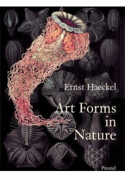 Art Forms in Nature Prints of Ernst Haeckel