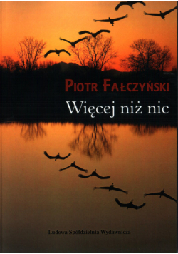 Więcej niż nic