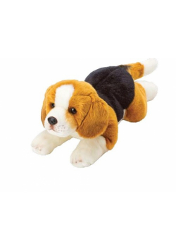 Beagle 35 cm leżący