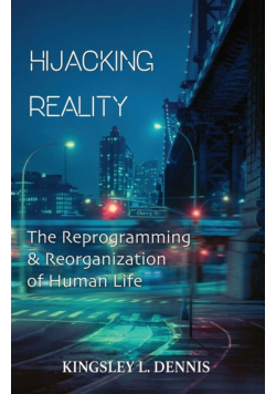 Hijacking Reality