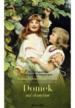 Domek nad strumykiem