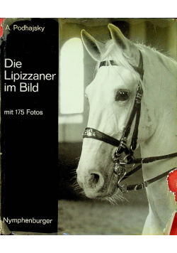 Die Lipizzaner im Bild