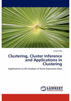Clustering, Cluster Inference and Applications in Clustering
