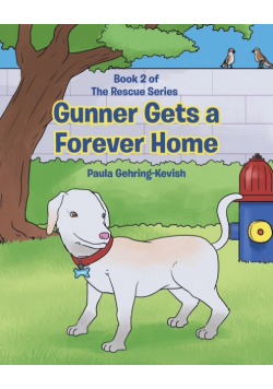 Gunner Gets a Forever Home