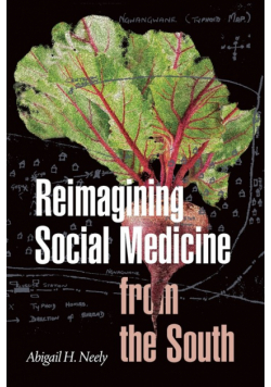 Reimagining Social Medicine from the South