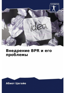 Внедрение Bpr И Его Проблемы