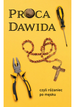 Proca Dawida
