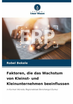 Faktoren, die das Wachstum von Kleinst- und Kleinunternehmen beeinflussen
