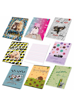 Paczka Zeszyt A5 16 k. w 3 linia kolorowa Best Friend 20szt.