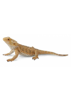 Jaszczurka Pogona Smok Brodaty (Insekty - L)