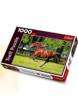Puzzle 1000 Galop