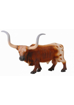Byk rasy longhorn bull L
