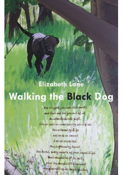 Walking the Black Dog
