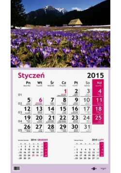 Kalendarz Jednodzielny 2015 krokusy