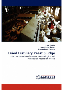 Dried Distillery Yeast Sludge