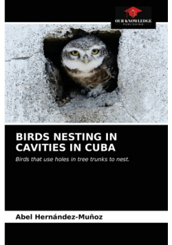 Birds Nesting In Cavities In Cuba