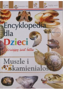 Muszle i skamieniałości Encyklopedia dla dzieci