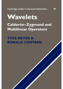 Wavelets