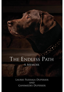 The Endless Path