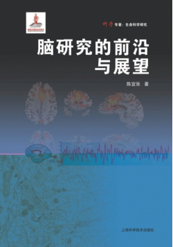 脑研究的前沿与展望
