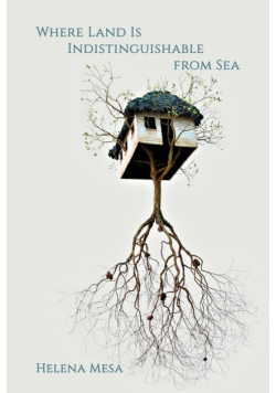 Where Land Is Indistinguishable from Sea