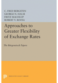 Approaches to Greater Flexibility of Exchange Rates