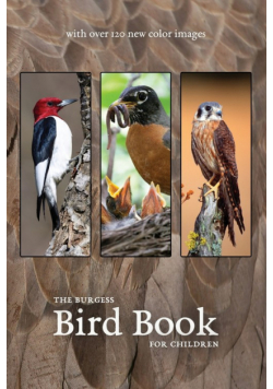 The Burgess Bird Book with new color images