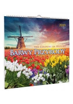 Kalendarz 2019 KD-9 Barwy przyrody AVANTI