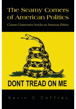 The Seamy Corners of American Politics