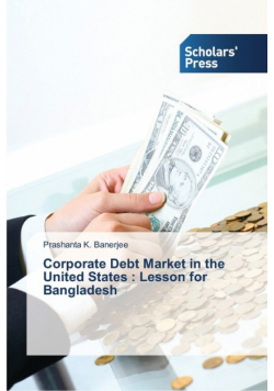 Corporate Debt Market in the United States