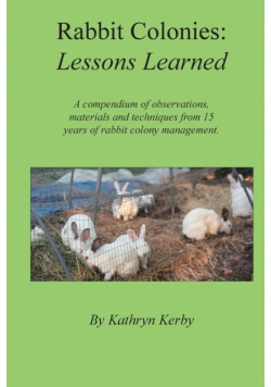 Rabbit Colonies Lessons Learned