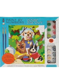 Paint By Numbers Psy