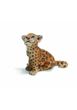 Młody jaguar