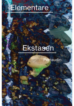 Elementare Ekstasen