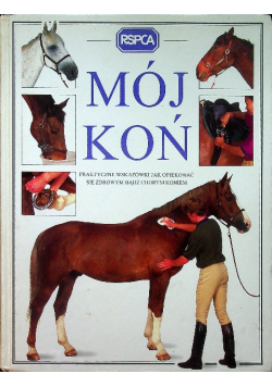 Mój koń