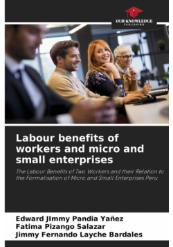 Labour benefits of workers and micro and small enterprises