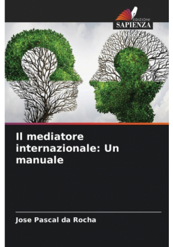 Il mediatore internazionale