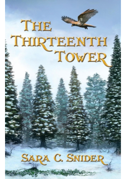The Thirteenth Tower