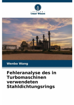 Fehleranalyse des in Turbomaschinen verwendeten Stahldichtungsrings