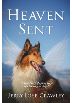 Heaven Sent