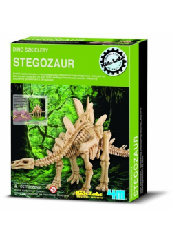 Dino szkielety Stegosaurus