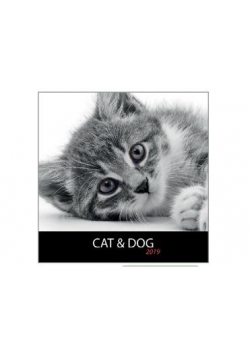 Kalendarz 2019 13 pl. 30x30 szyty Cat&Dog DAN-MARK
