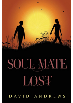 Soul Mate Lost