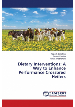 Dietary Interventions