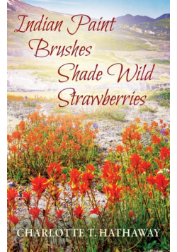Indian Paint Brushes Shade Wild Strawberries