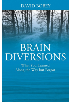 Brain Diversions