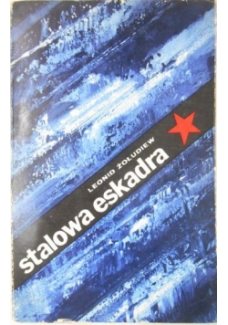 Stalowa eskadra