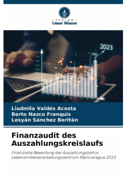Finanzaudit des Auszahlungskreislaufs